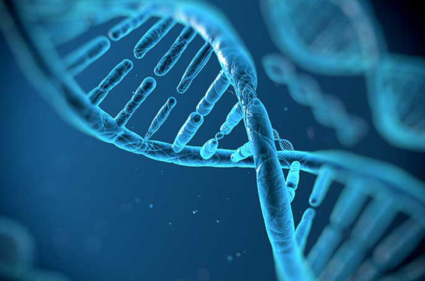 Universitario diseña software para buscar información genómica
