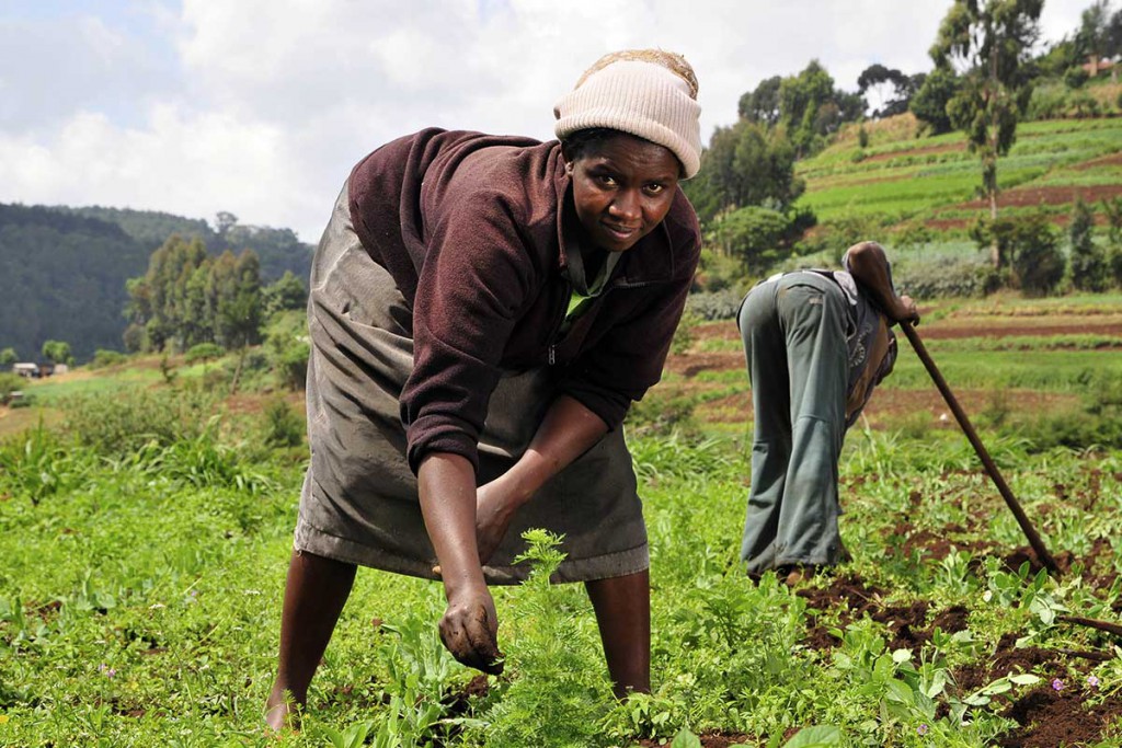 FAO pide ayudar a campesinos para adaptarse al cambio climático