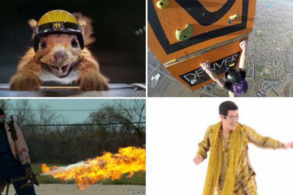 (video) Los videos virales más vistos en este 2016