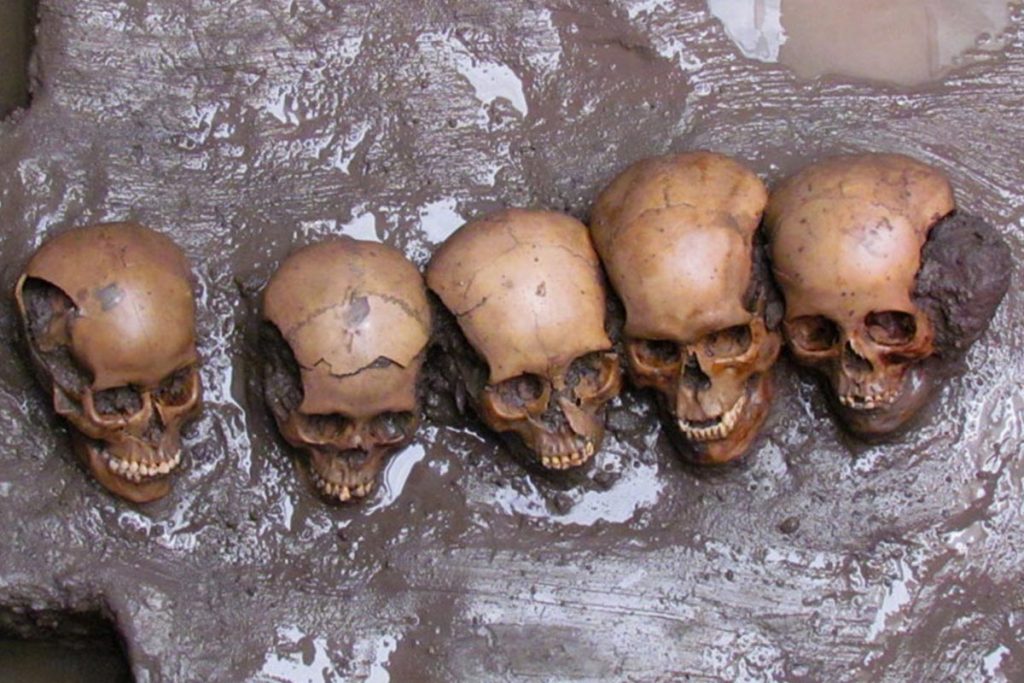 En Templo Mayor, descubren cráneos pintados