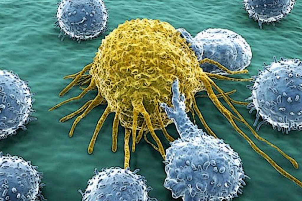 Tumores cancerosos, tienen sus días contados