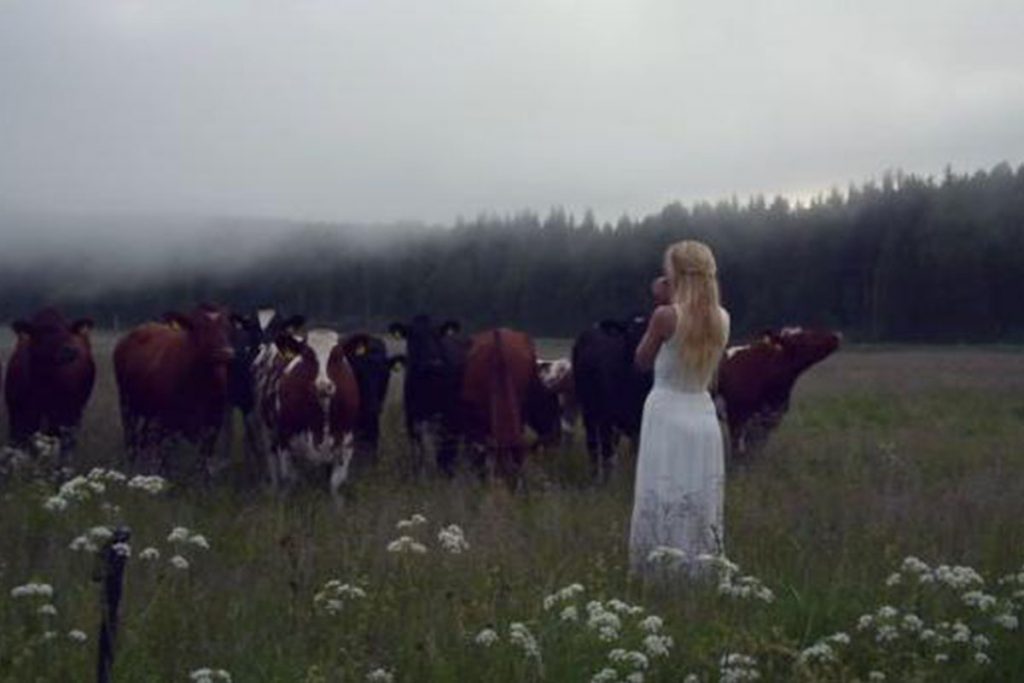 (video) El bello canto pastoril que hechiza a un ganado