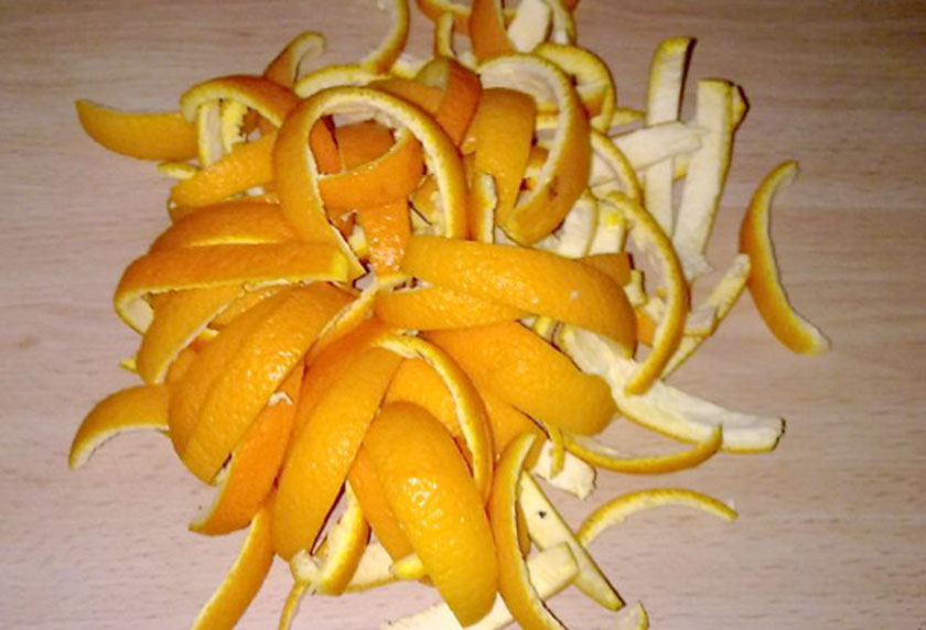 Universitarias queretanas crean golosina con cáscara de naranja