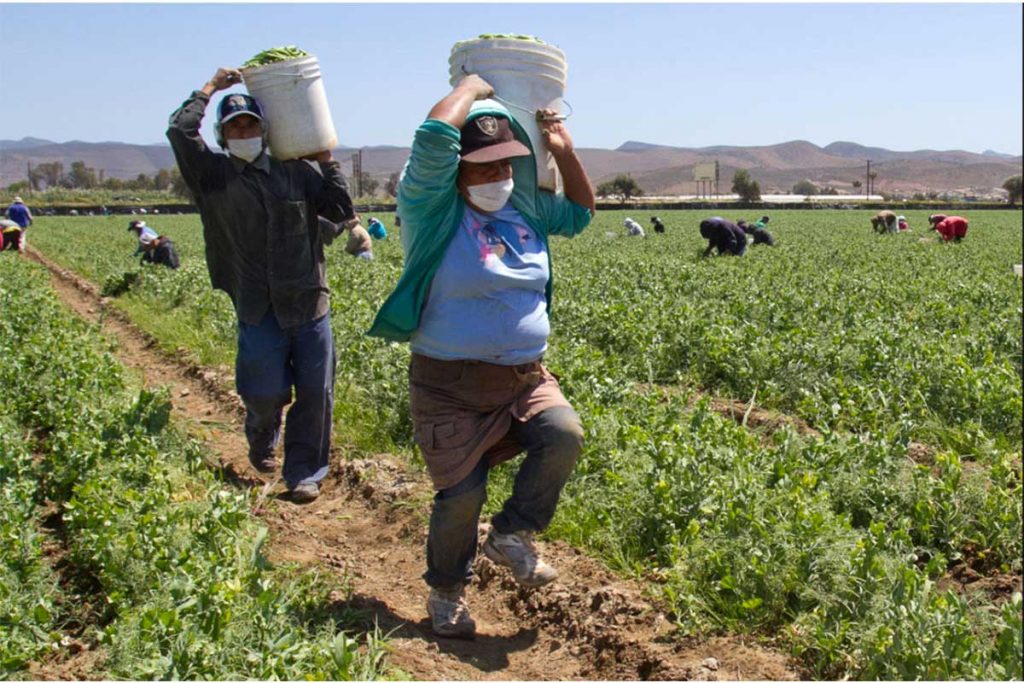 Ante el temor, paisanos sacan sus ahorros de EEUU