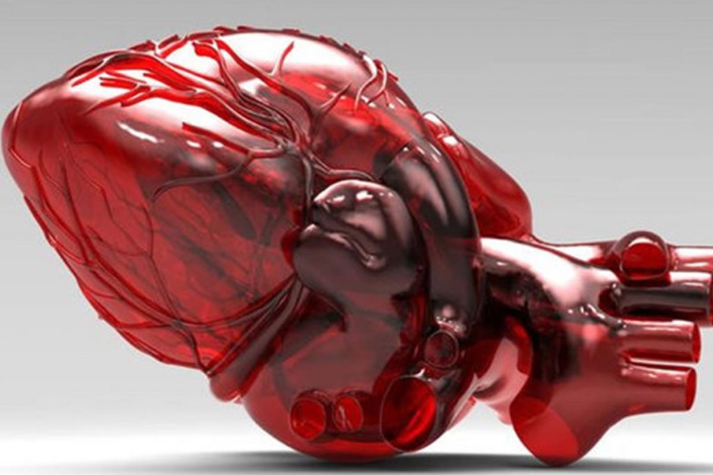 (video) Fabrican tejido cardíaco 3D en Canadá