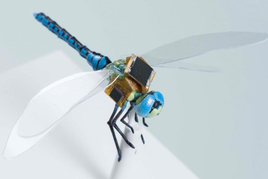 ¿Es un drone, una libélula? es las dos cosas