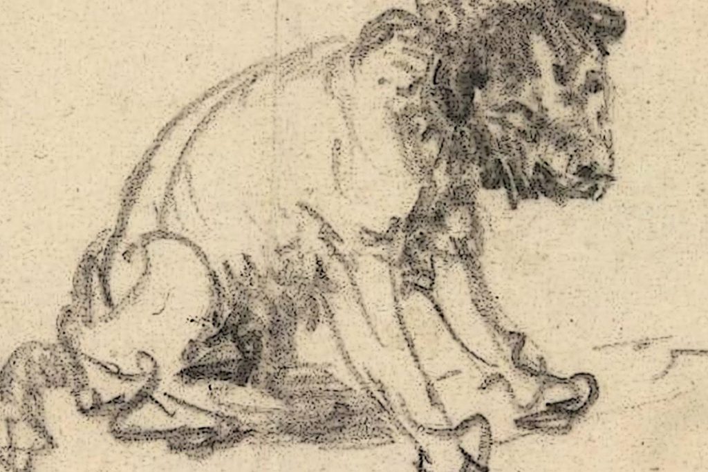 Descubren dibujo de Rembrandt en museo alemán