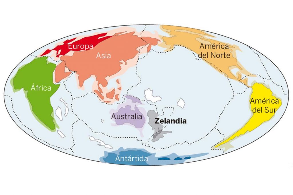 (video) El mundo tiene un nuevo continente: Zelandia