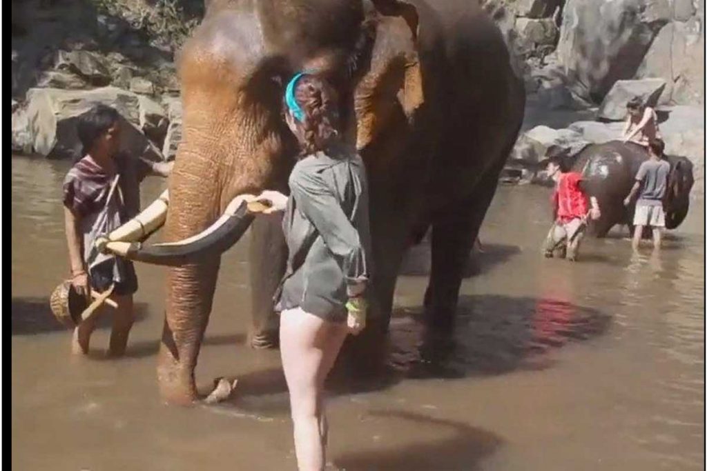 (Video) Nunca hagas enojar a un elefante