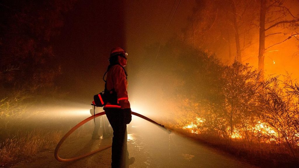 Incendios forestales podrían empeorar por cambio climático