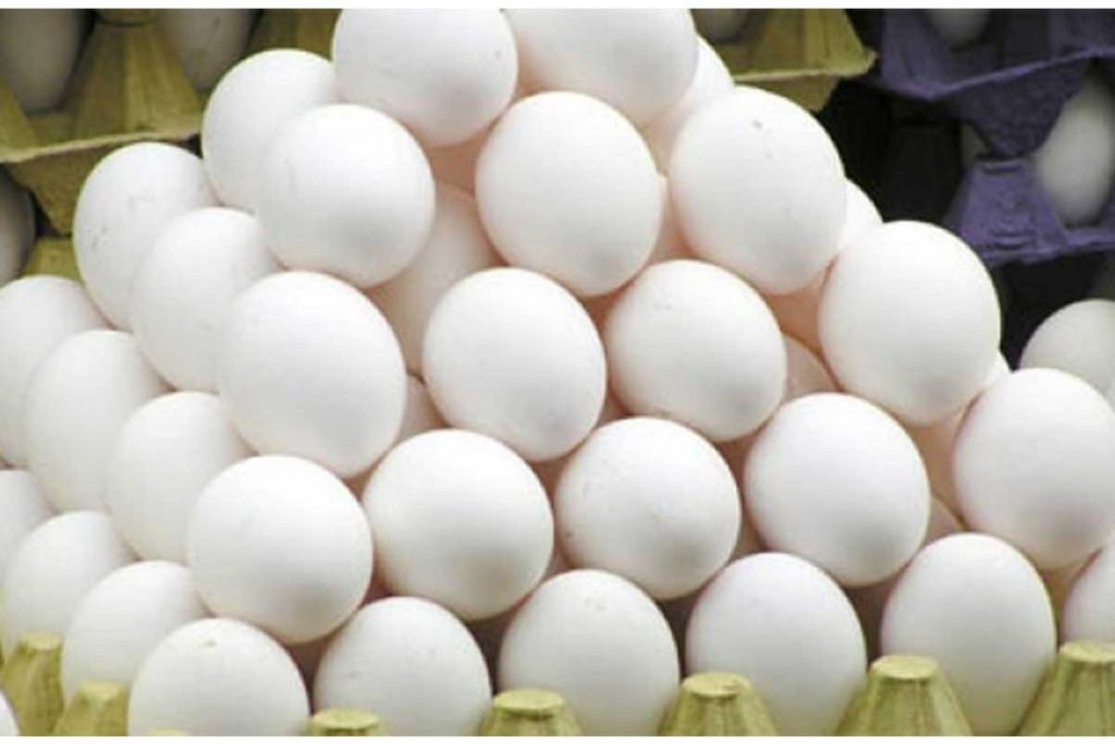 Ejidatarios de Saltillo con apoyo para producción de huevo