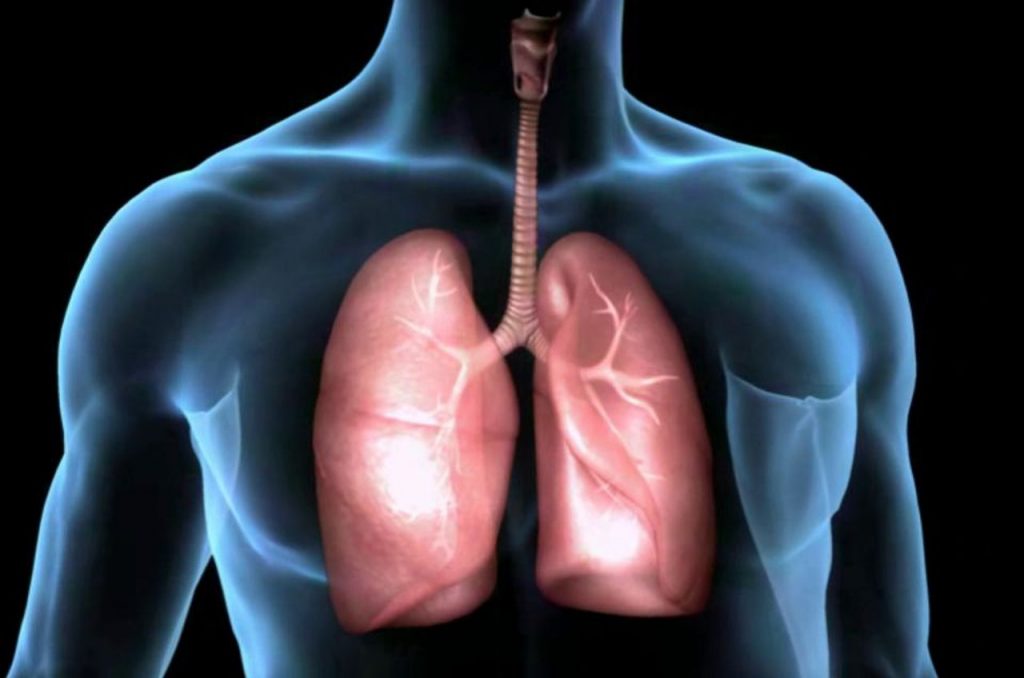 Indice mortal a causa del cáncer de pulmón