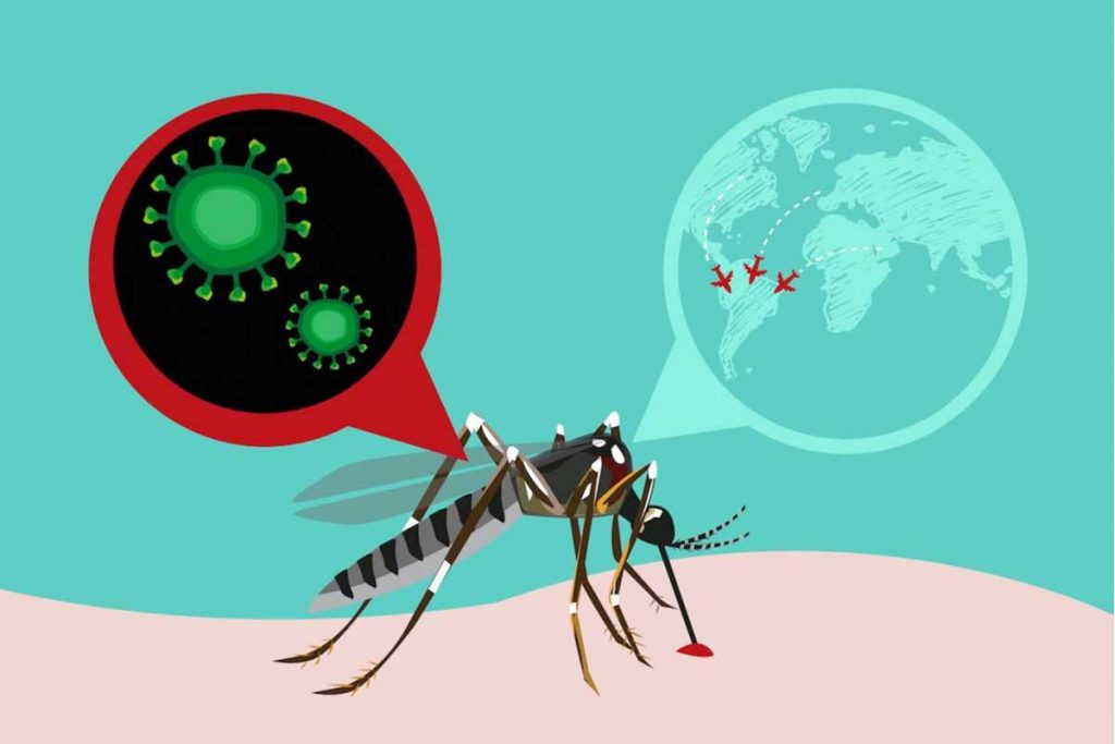 Pide la OMS mantener vigilancia ante Zika