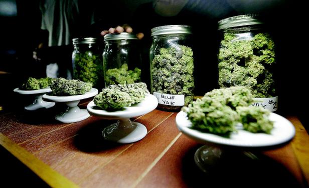 Liberación de medicinas y productos con cannabis reducirá costos