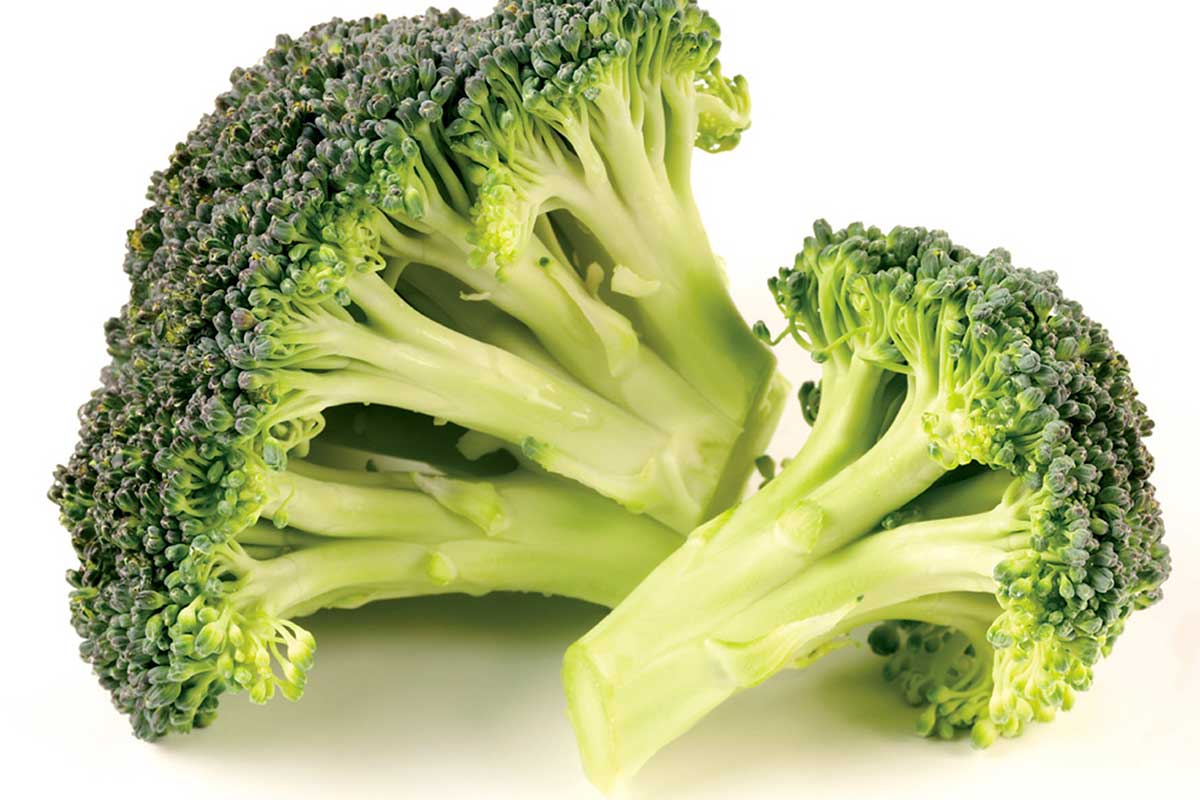 Brócoli, un excelente aliado contra el cáncer
