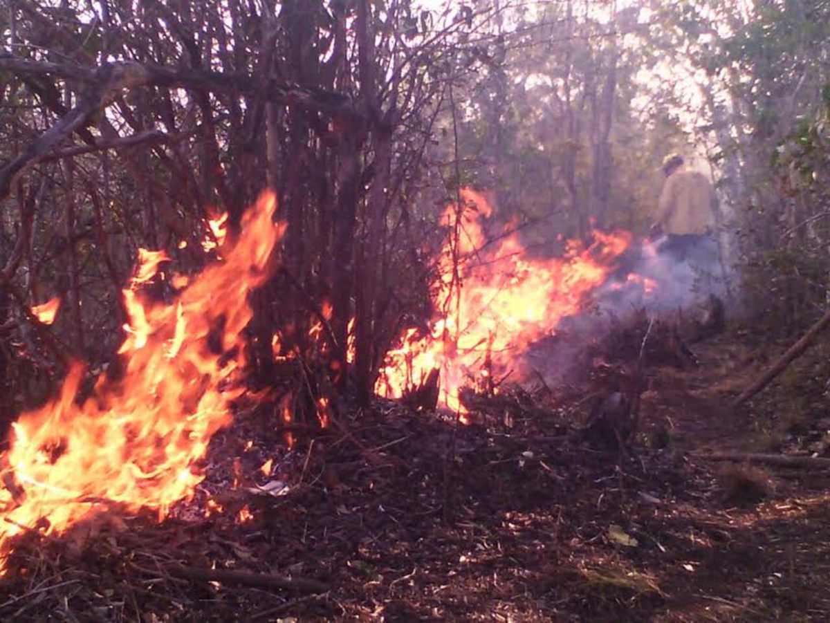Persiste alerta roja en región chilena de La Araucanía por incendios