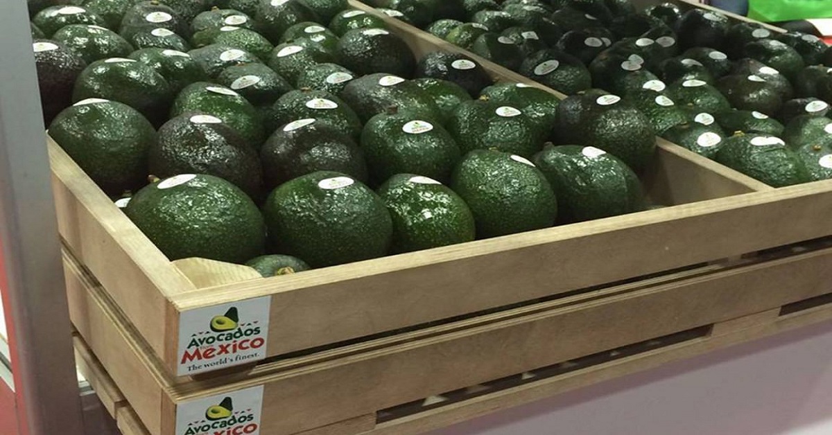 El precio del Aguacate se dispara a 75 pesos