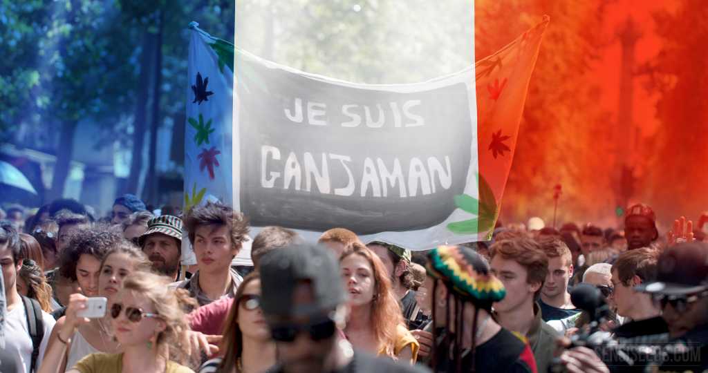 Francia reduce el castigo del consumo de cannabis