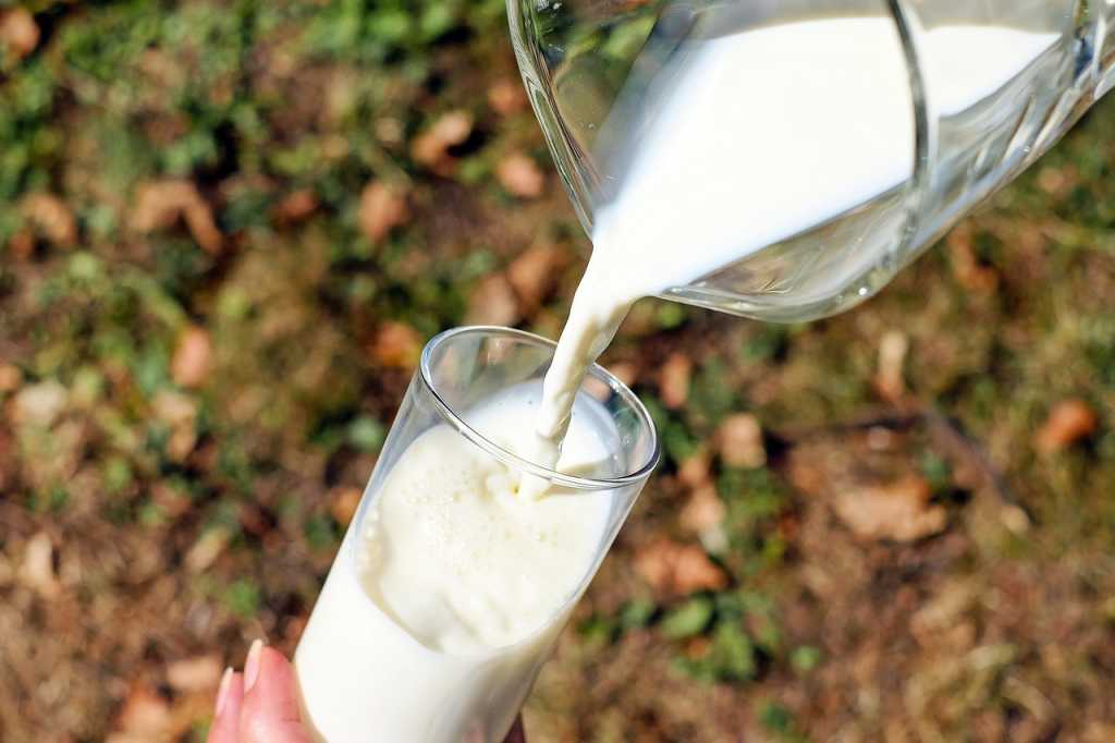 10 datos que debes saber sobre la leche