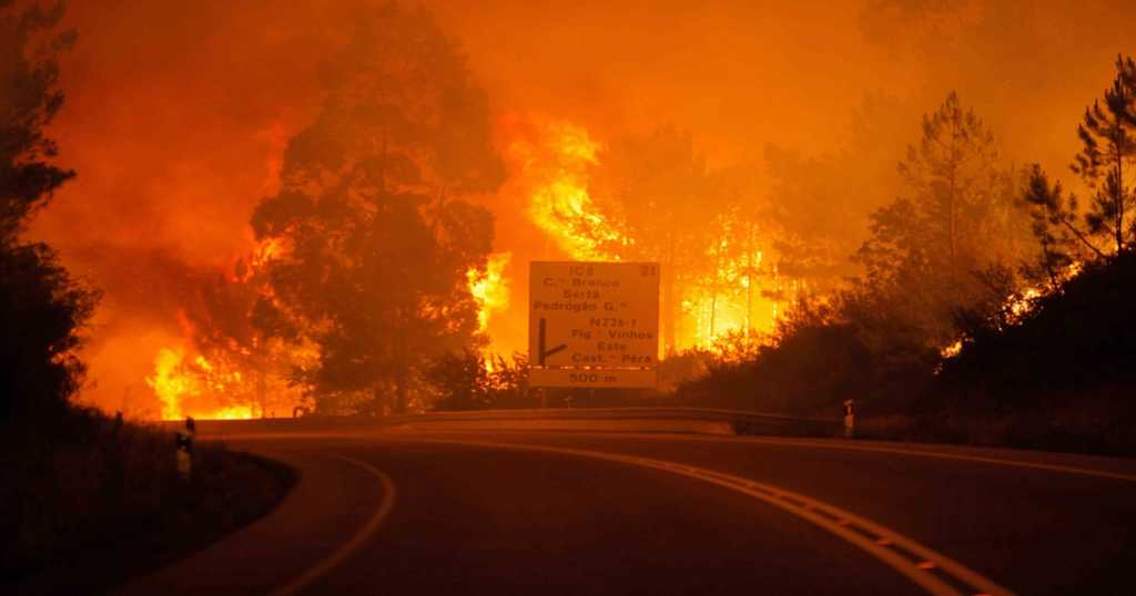 Incendio forestal en Portugal deja 62 muertos y 54 heridos