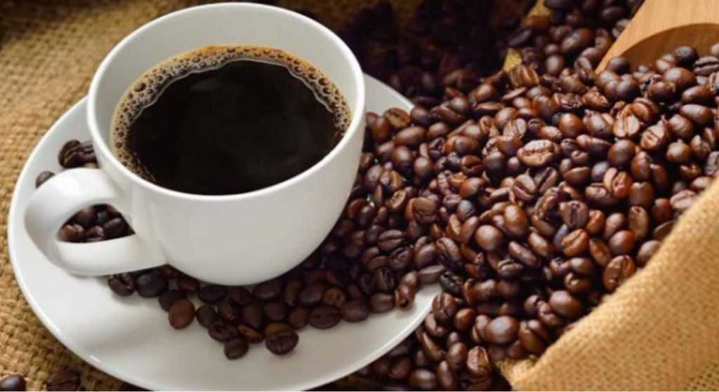 México refuerza relaciones comerciales con productores de café