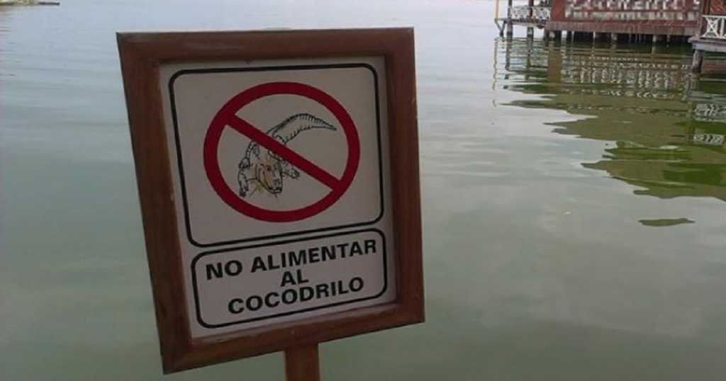 Cocodrilo arranca el brazo a turista en Cancún
