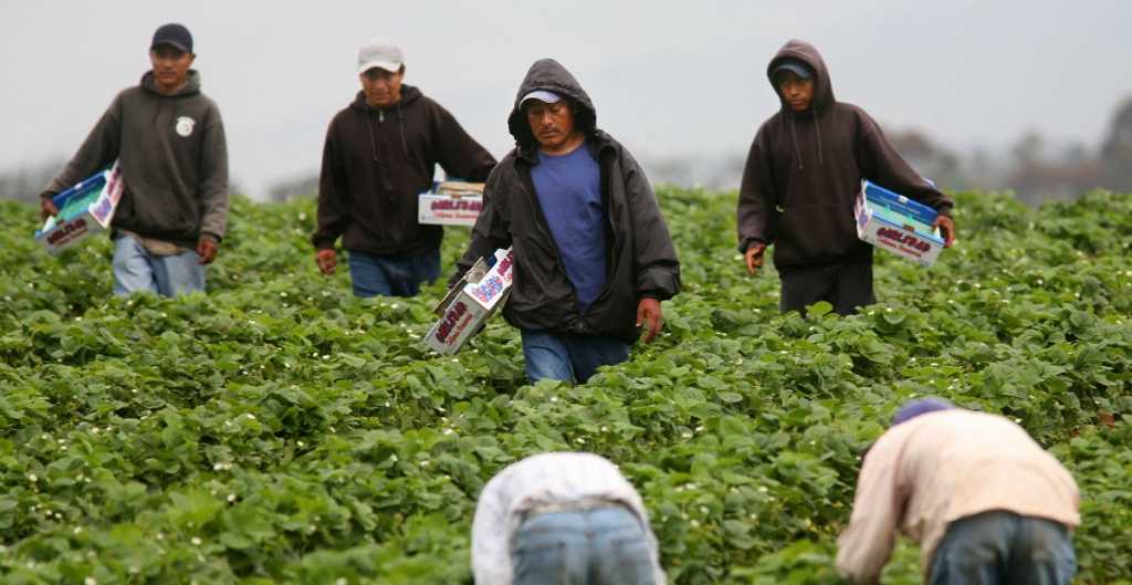 Migrante en retorno: de perder todo en EU a autoemplearse en la CDMX