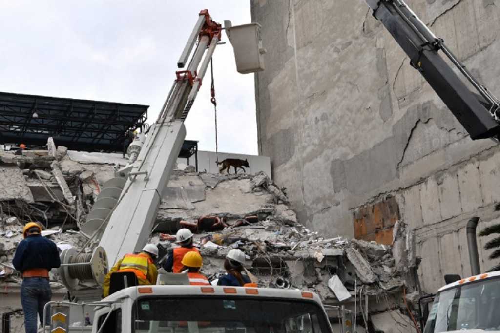 Uso de maquinaría en zona de desastre es sólo para limpieza