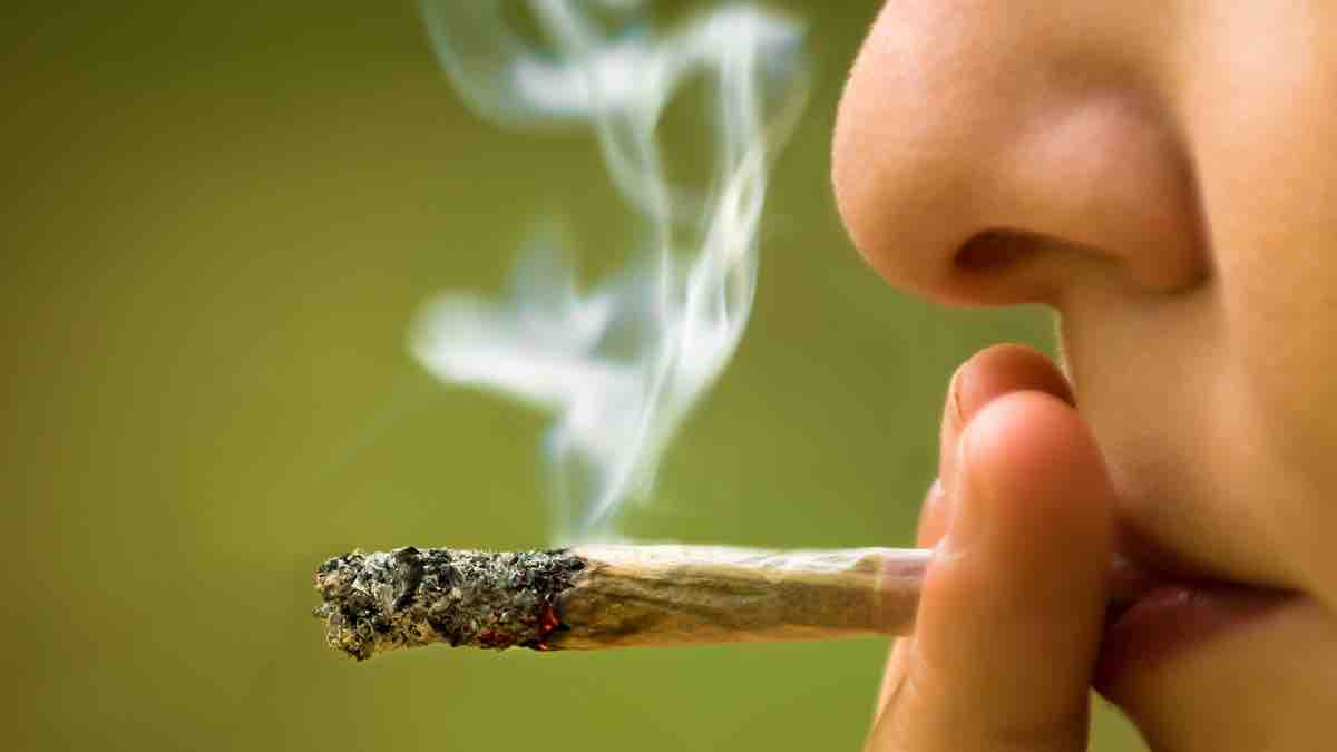 Una dosis diaria de marihuana podría prevenir la demencia, dicen