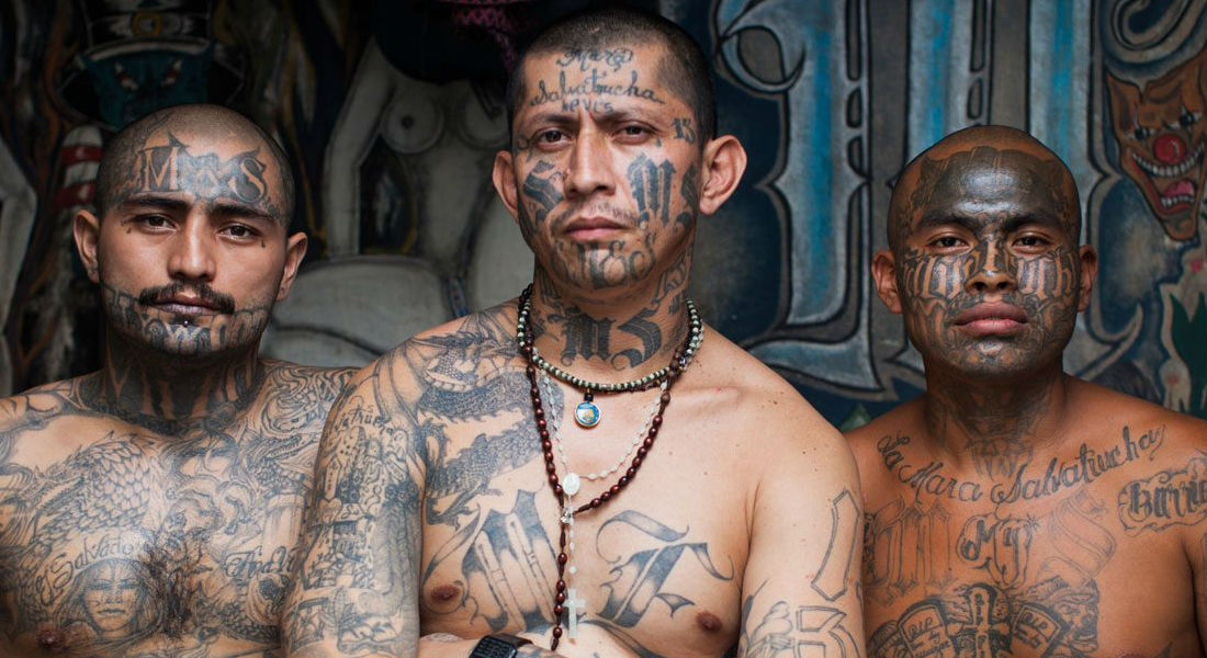 Le declaran la guerra a la Mara Salvatrucha