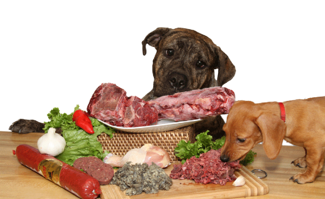 La carne cruda es mala para tus mascotas