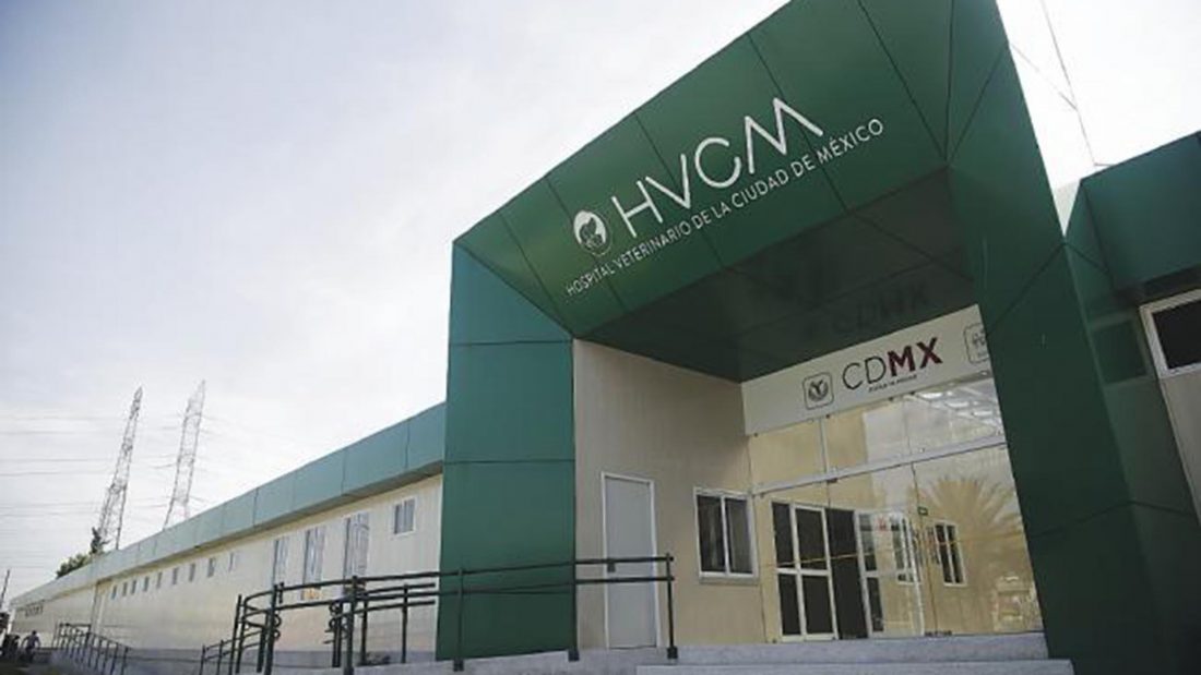 La CDMX invertirá 60 mdp para un segundo Hospital Veterinario