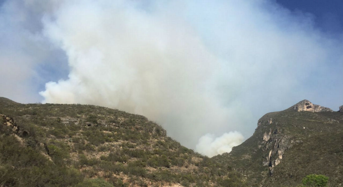 Incendio forestal afecta 400 hectáreas en Coahuila