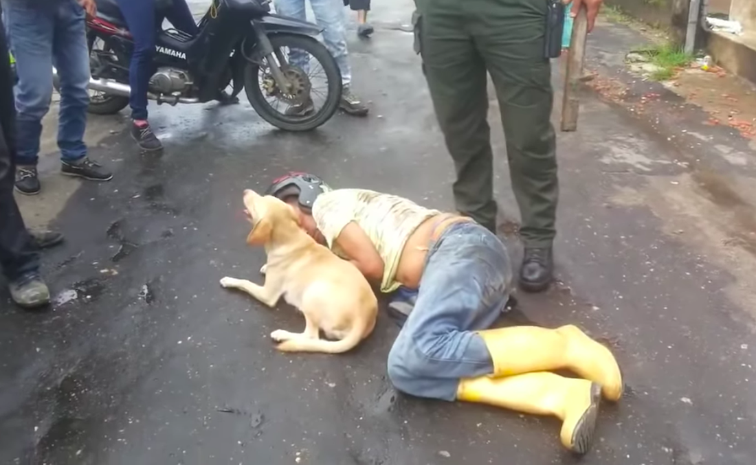 Perro protege a hombre que se quedó dormido borracho en la calle (video)