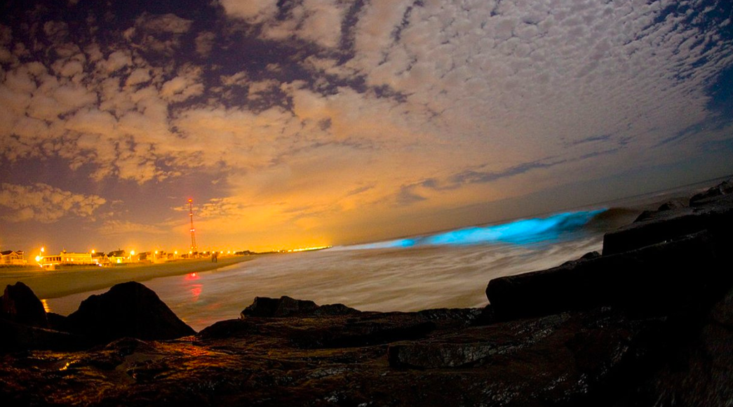Playas de San Diego se tornan de un color azul-neón