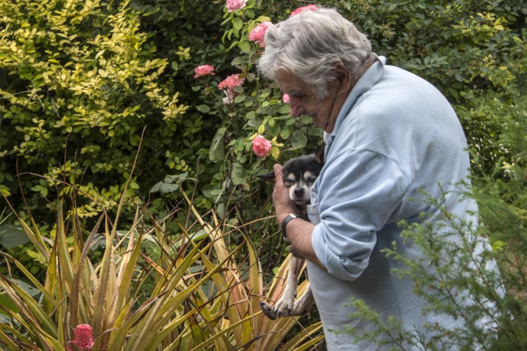 Murió «Manuela», la famosa perra de tres patas del ex presidente uruguayo Mujica