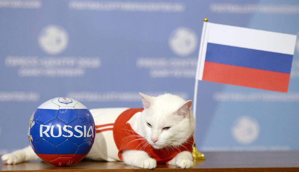 Rusia ganará su primer juego del Mundial predice el gato Aquiles