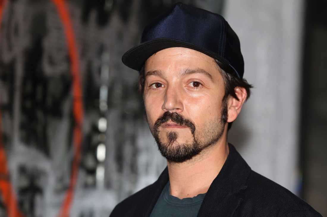 Diego Luna pide bajarle dos rayitas a tu intensidad política