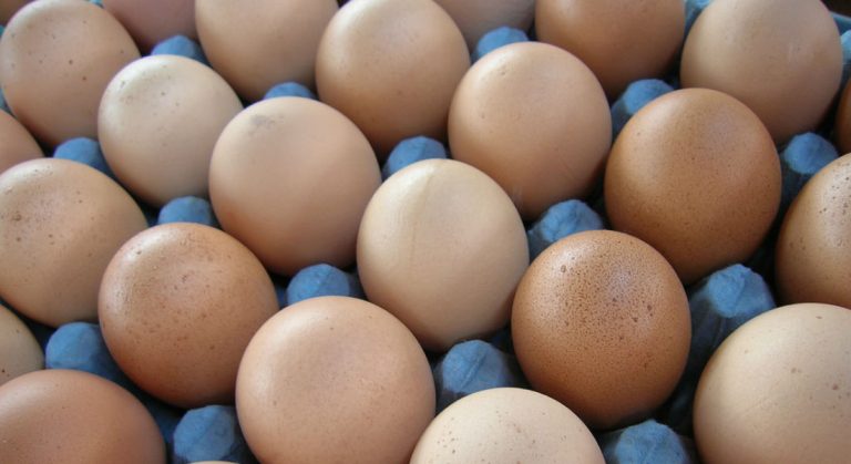 Precio del huevo baja en seis ciudades del país