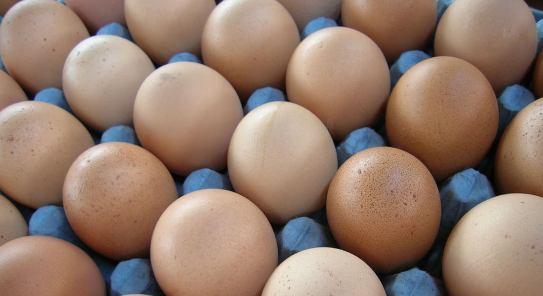 Has vivido engañado, comer huevo no eleva el colesterol