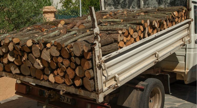 Procuraduría Ambiental detiene madera de EUA