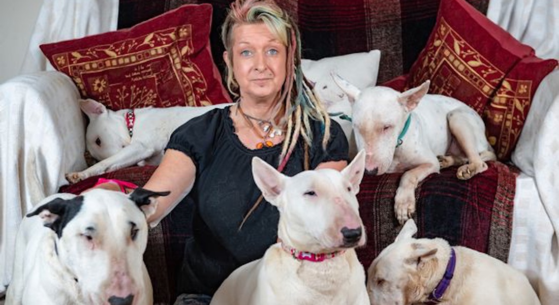 Abandonó matrimonio de 25 años para quedarse con sus perros