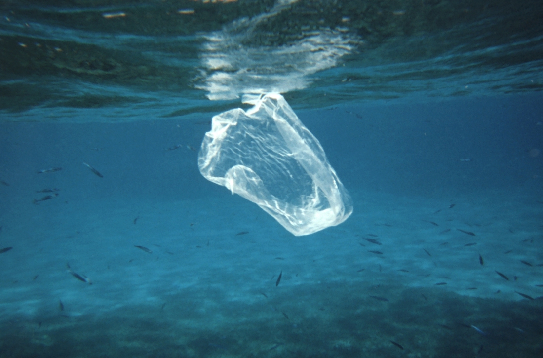 Inicia la guerra contra el plástico para salvar los océanos
