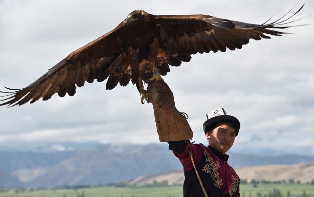 (VIDEO) Águila ataca a niña al confundirla con su presa