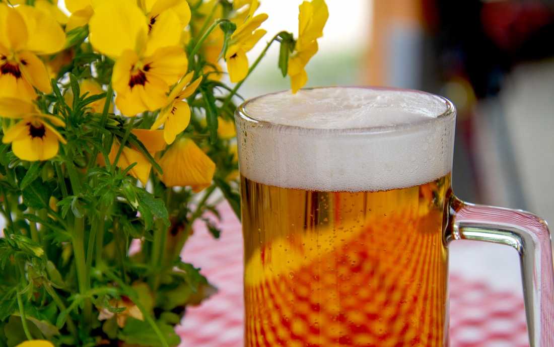 Este ingrediente en la cerveza podría disminuir síntomas del climaterio