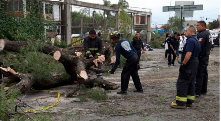 Caída de árbol en Ecatepec, deja saldo de un muerto y dos heridos