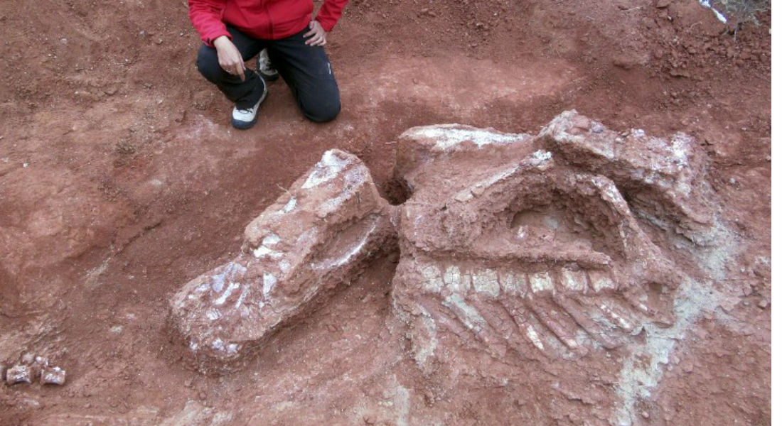Fósiles hallados en China revelan dispersión de saurópodos