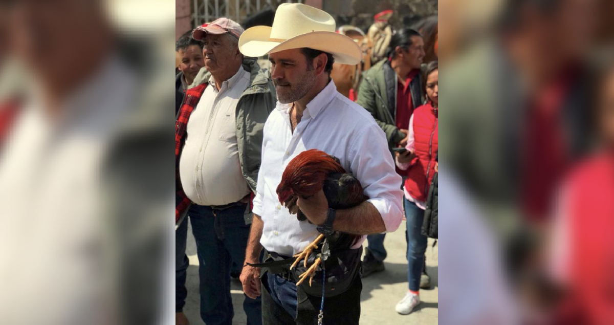 7 famosos mexicanos que este domingo buscan ganar un cargo político