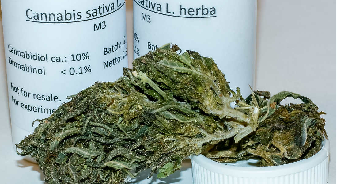 Marihuana medicinal es un negocio viable en México, dice experto