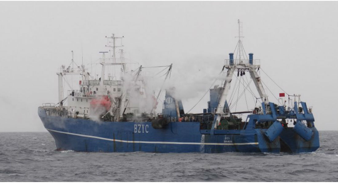 Empresas pesqueras de kril deciden limitar su actividad en la Antártida